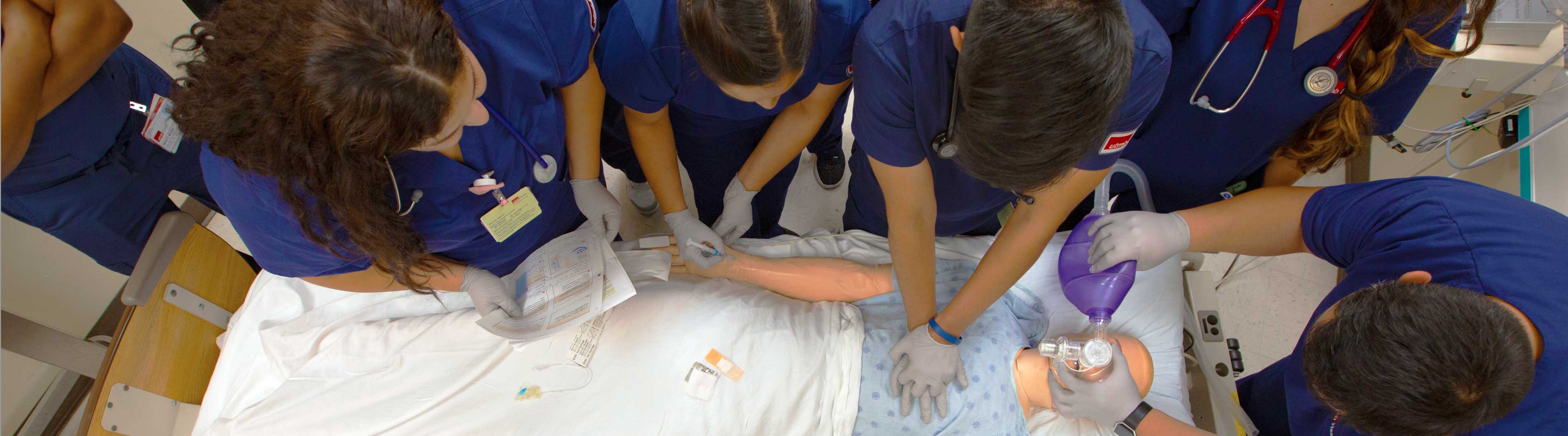 Aerial view of students learning how to give proper chest compressions on a dummy. 