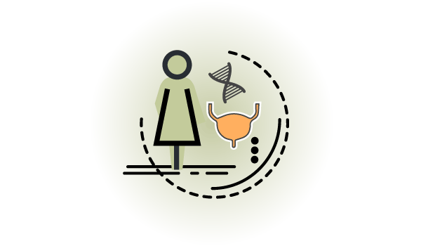 Icon graphic depicting woman, bladder and hourglass scientific image
